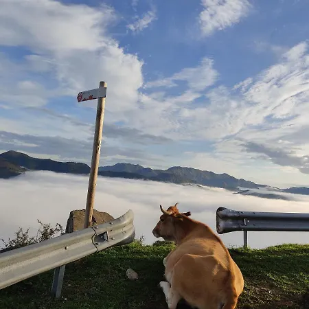 Neros De Segueencu * Seguenco