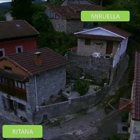 Neros De Segueencu Seguenco